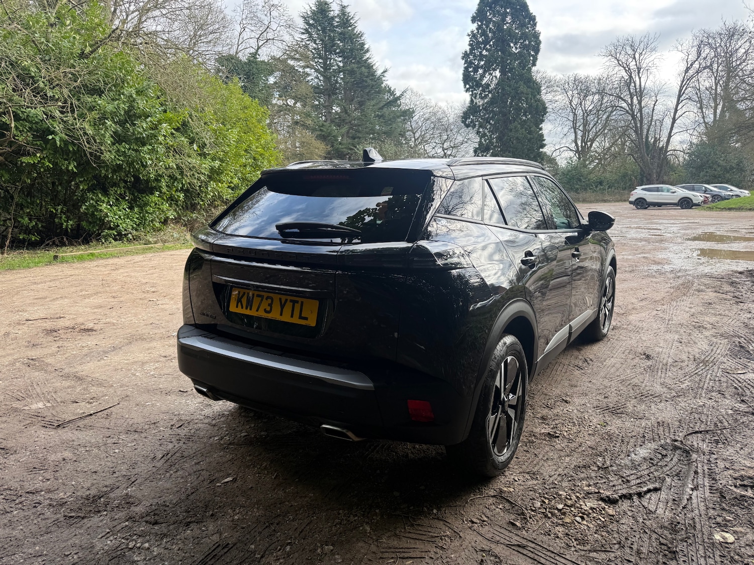 Used Peugeot 2008 2023 for sale - 77650976: Photo 11