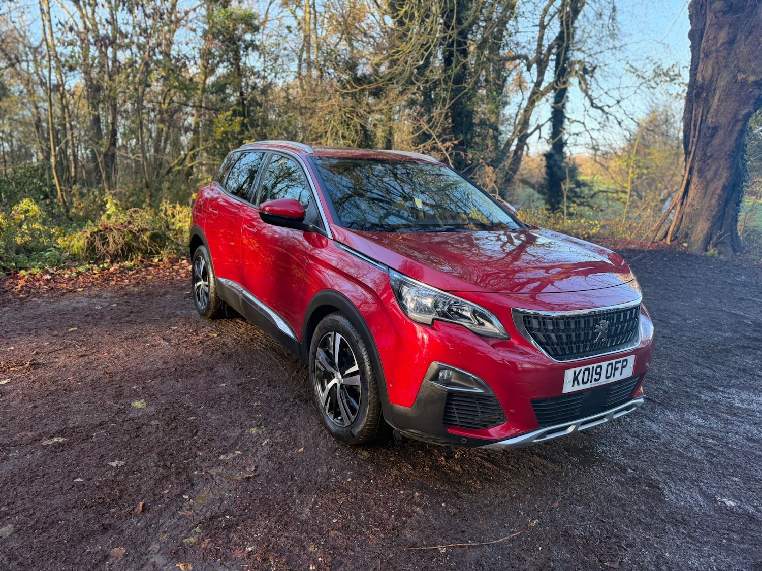 Used Peugeot 3008 2019 for sale - 77114274: Photo 14