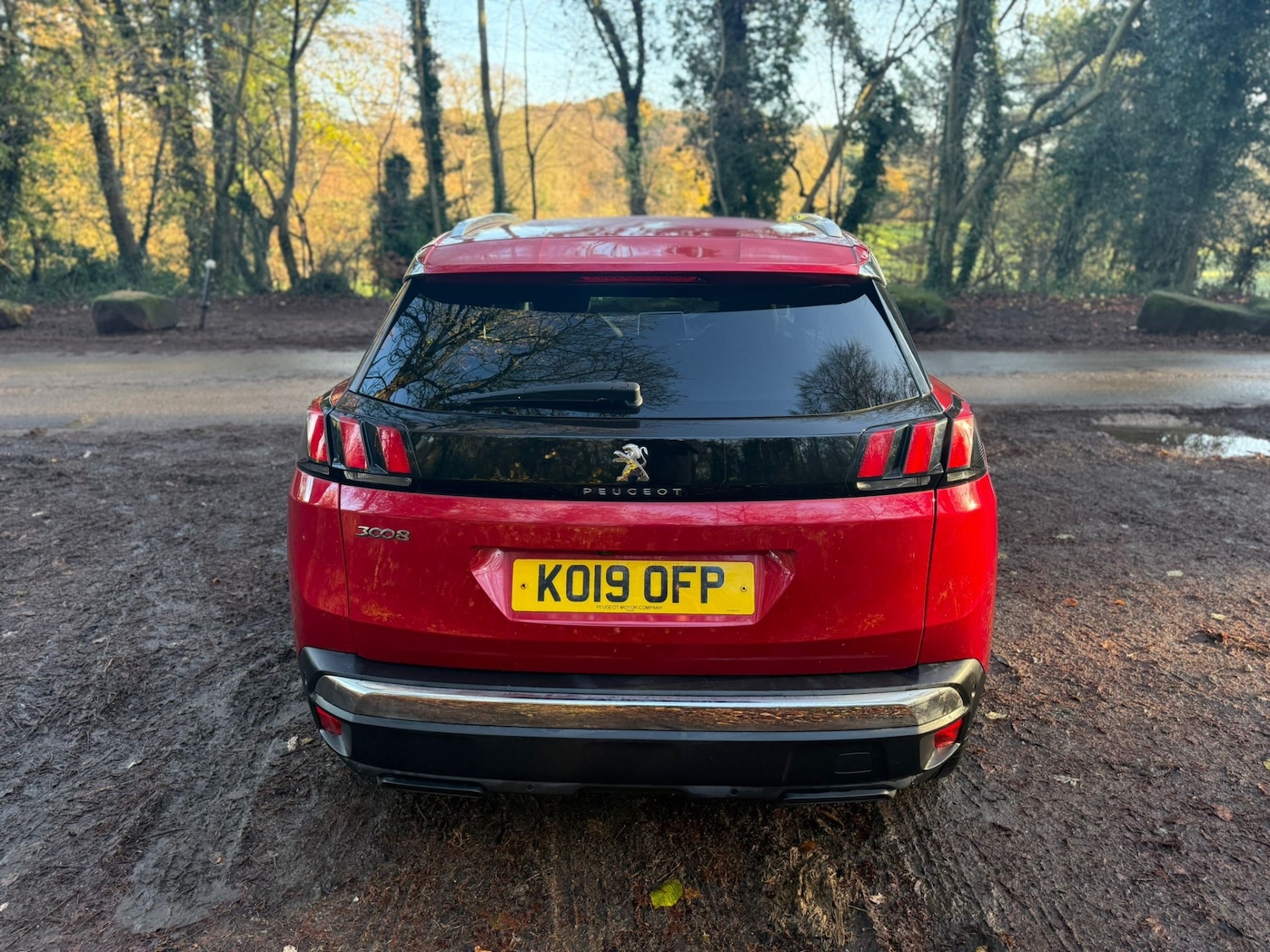 Used Peugeot 3008 2019 for sale - 77114274: Photo 18