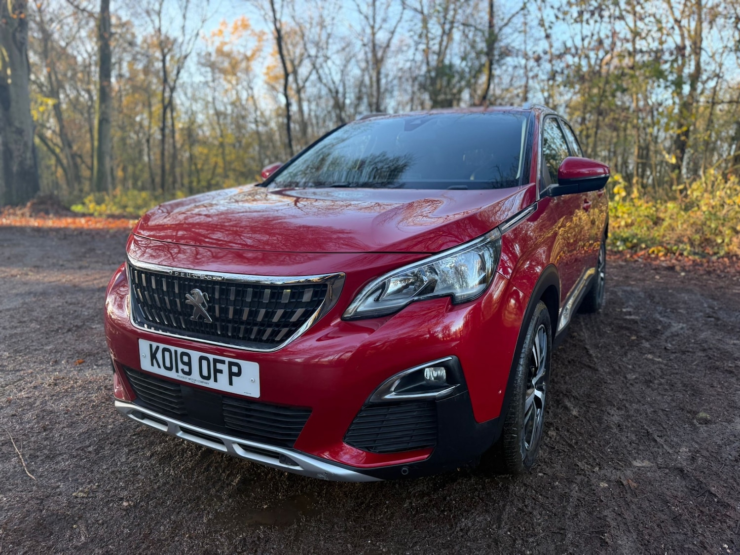 Used Peugeot 3008 2019 for sale - 77114274: Photo 2