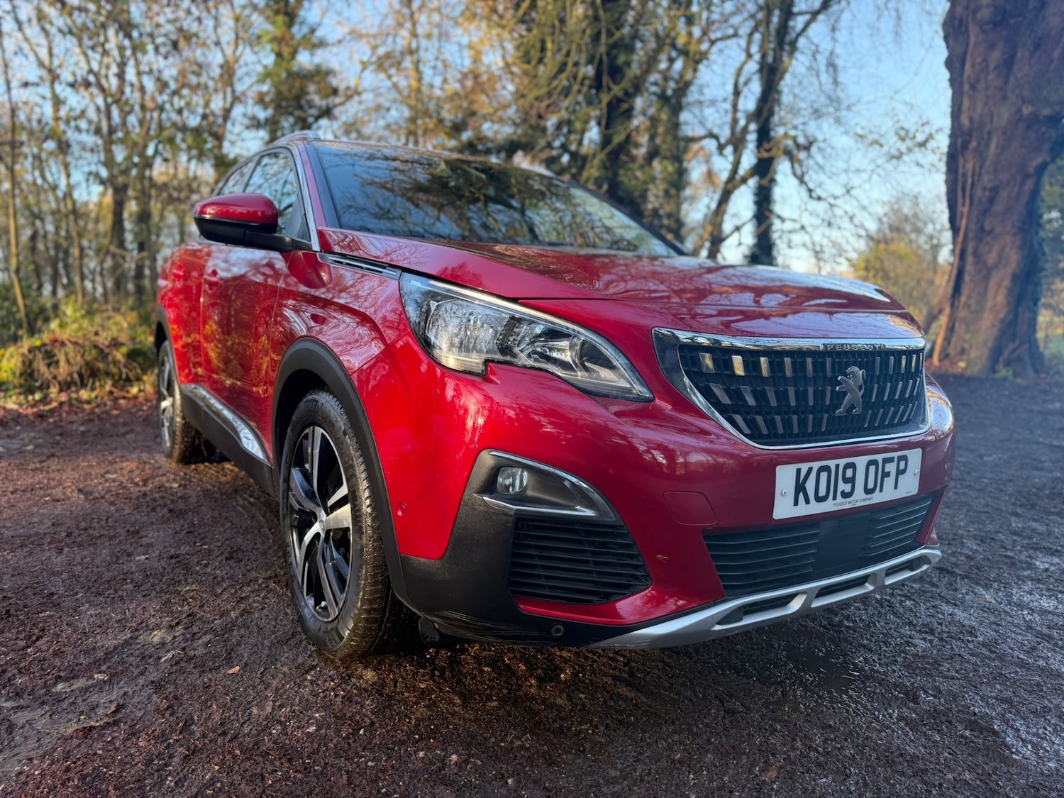 Used Peugeot 3008 2019 for sale - 77114274: Photo 21
