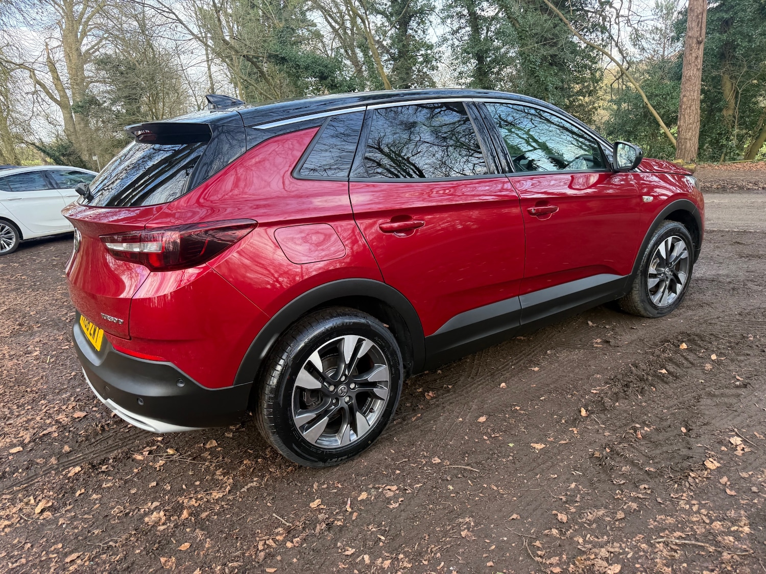 Used Vauxhall Grandland X 2018 for sale - 77651719: Photo 11