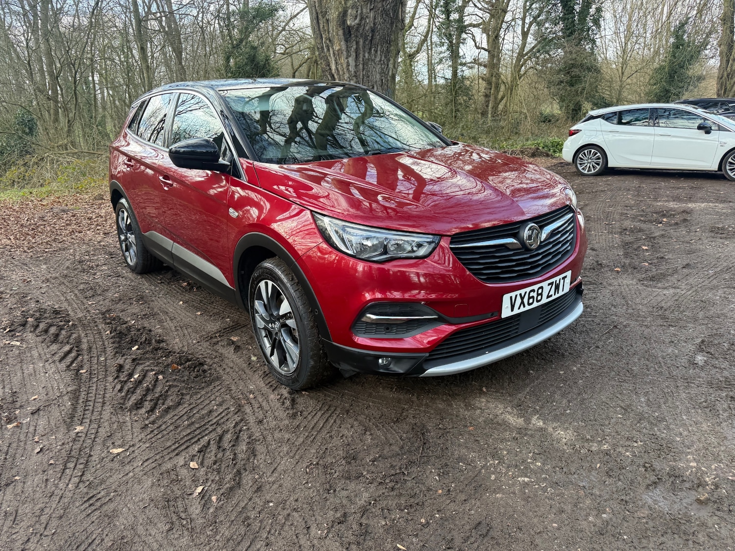 Used Vauxhall Grandland X 2018 for sale - 77651719: Photo 2