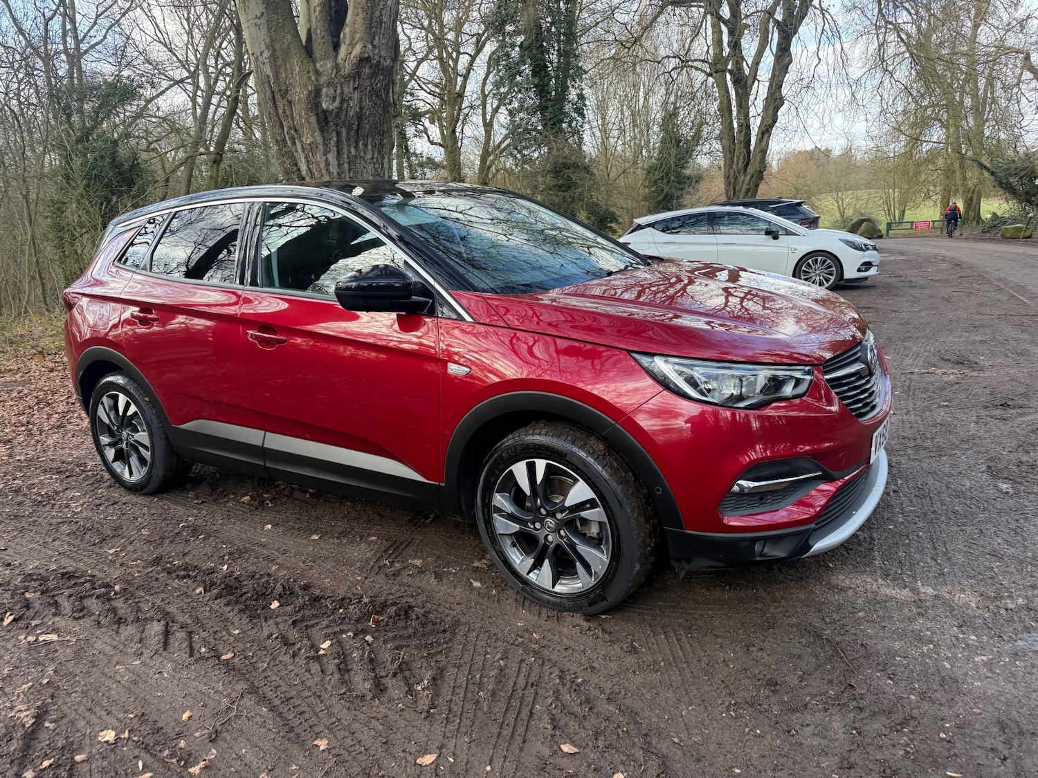 Used Vauxhall Grandland X 2018 for sale - 77651719: Photo 20