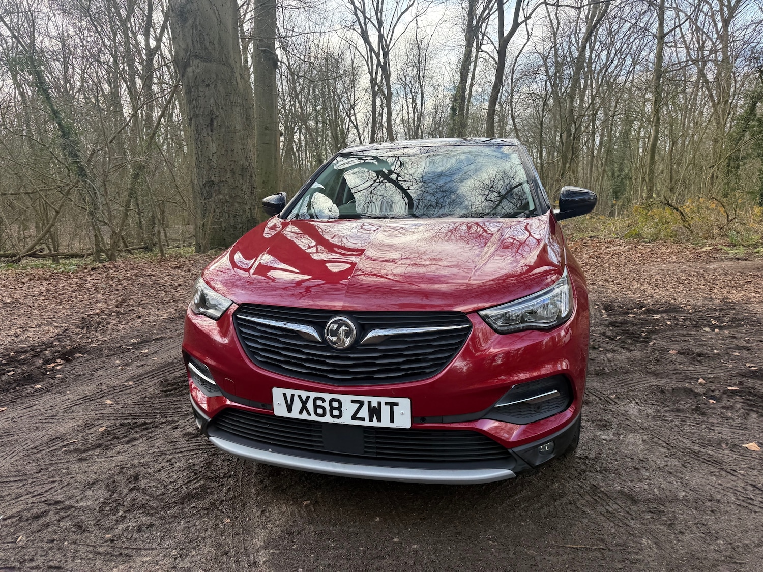 Used Vauxhall Grandland X 2018 for sale - 77651719: Photo 30