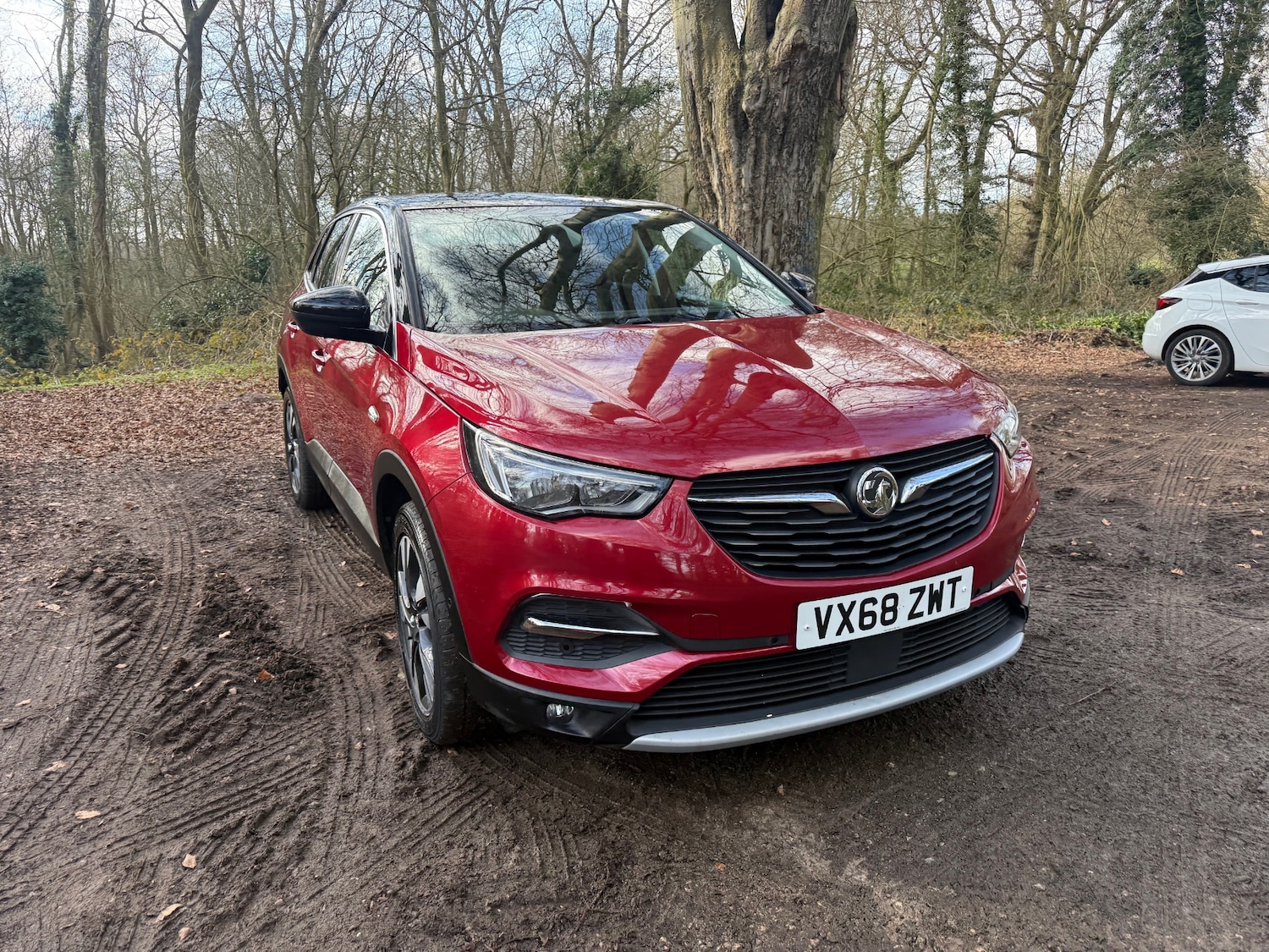 Used Vauxhall Grandland X 2018 for sale - 77651719: Photo 31