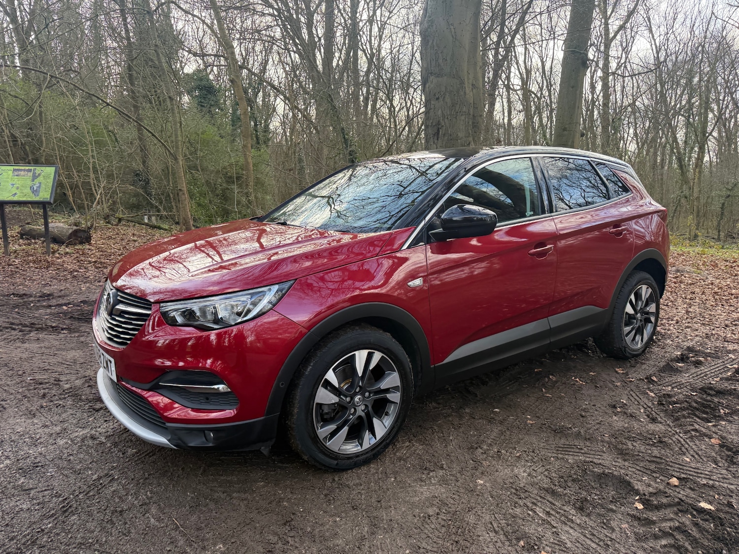 Used Vauxhall Grandland X 2018 for sale - 77651719: Photo 4