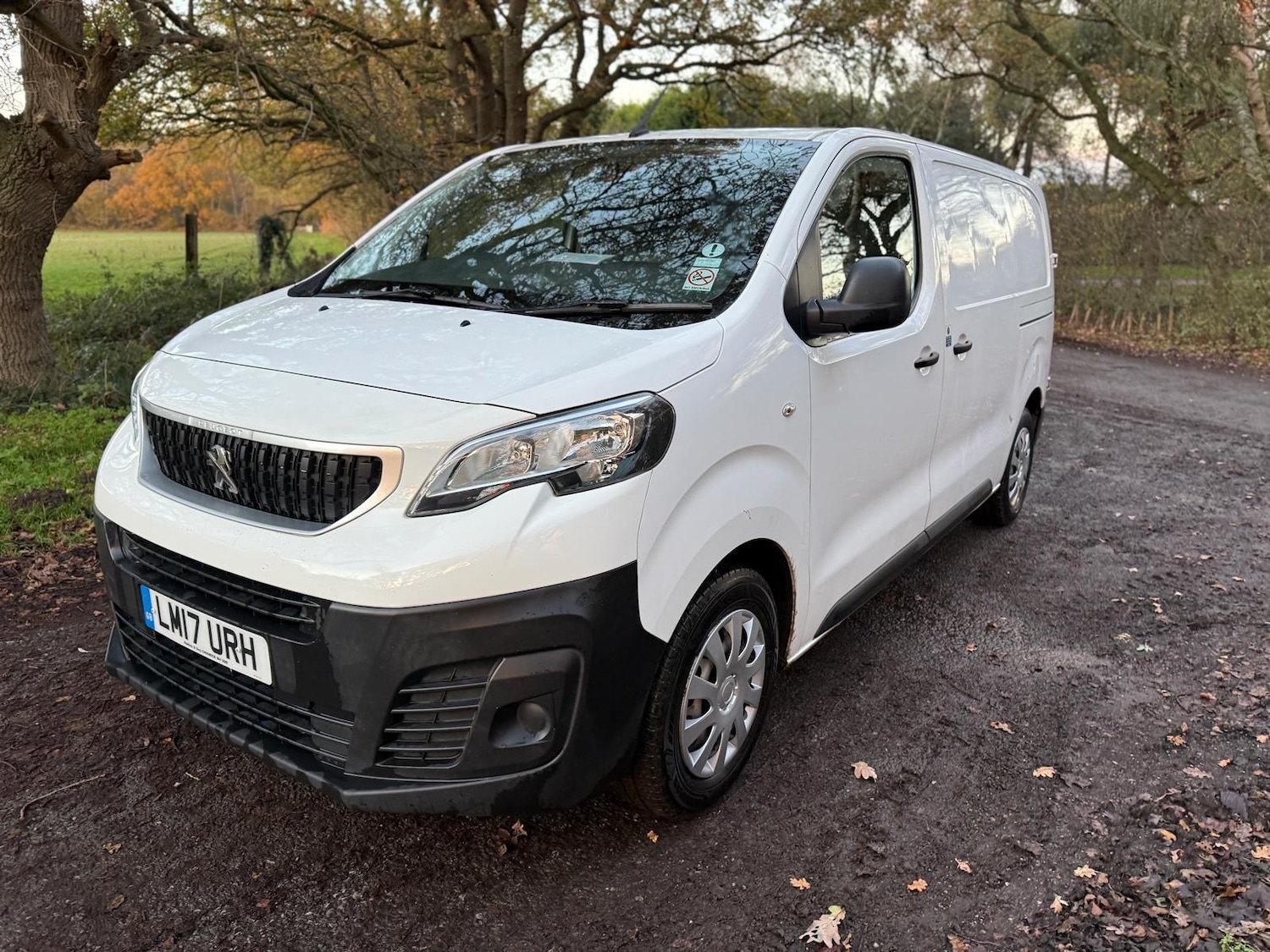 Used Peugeot Expert 2017 for sale - 76682318: Photo 2