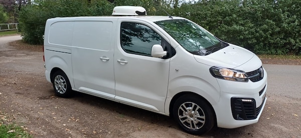 Used Vauxhall Vivaro 2019 for sale - 76079499: Photo 1