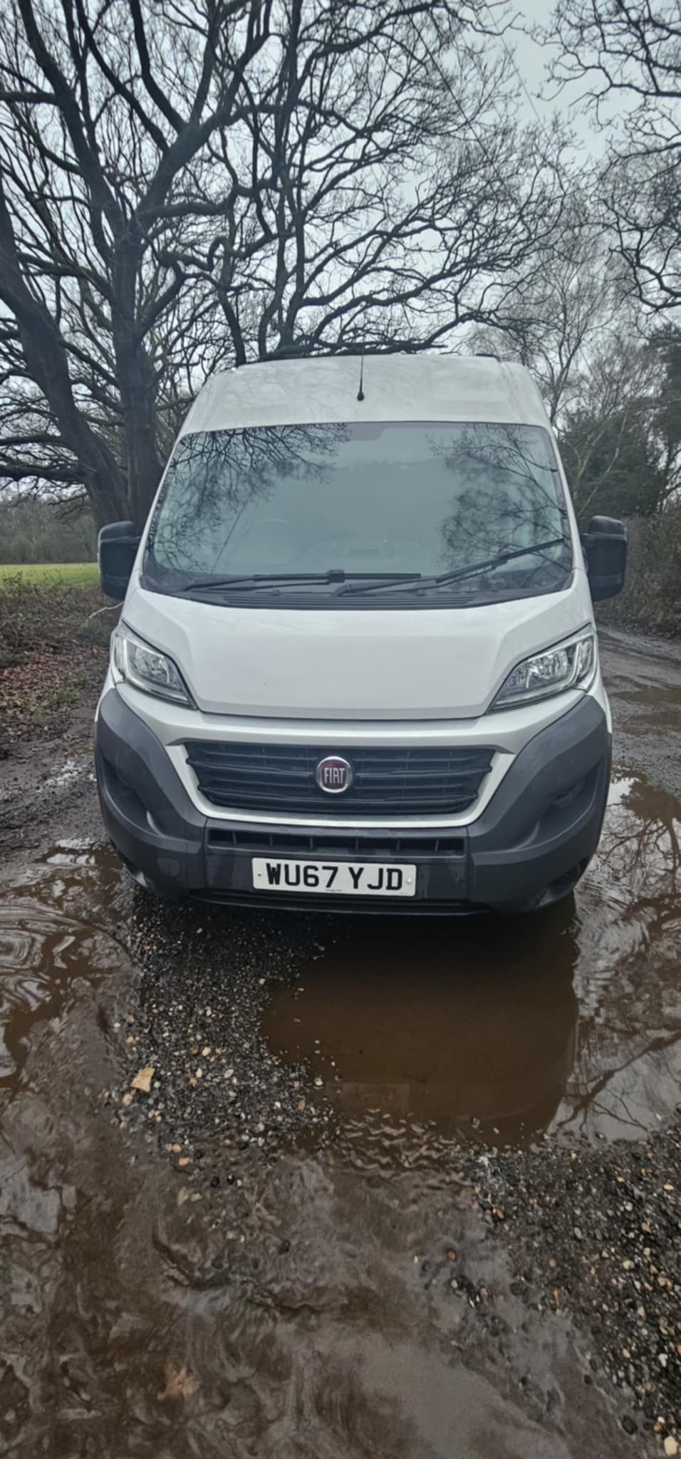 Used Fiat Ducato 2017 for sale - 77340607: Photo 2