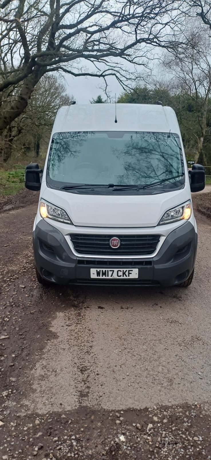 Used Fiat Ducato 2017 for sale - 77778891: Photo 5