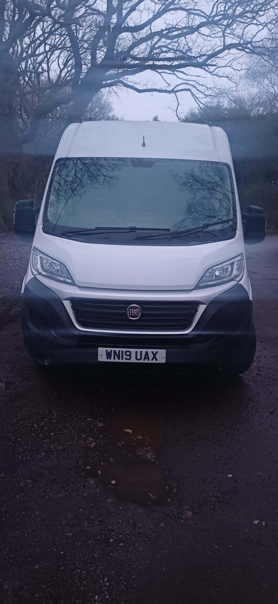 Used Fiat Ducato 2019 for sale - 77327179: Photo 10