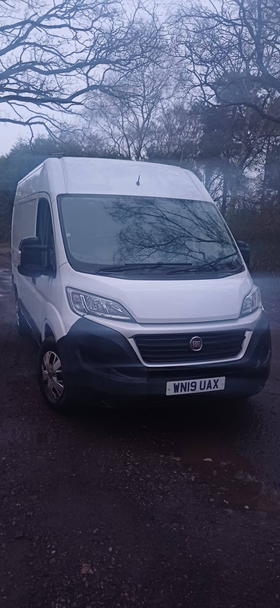 Used Fiat Ducato 2019 for sale - 77327179: Photo 8