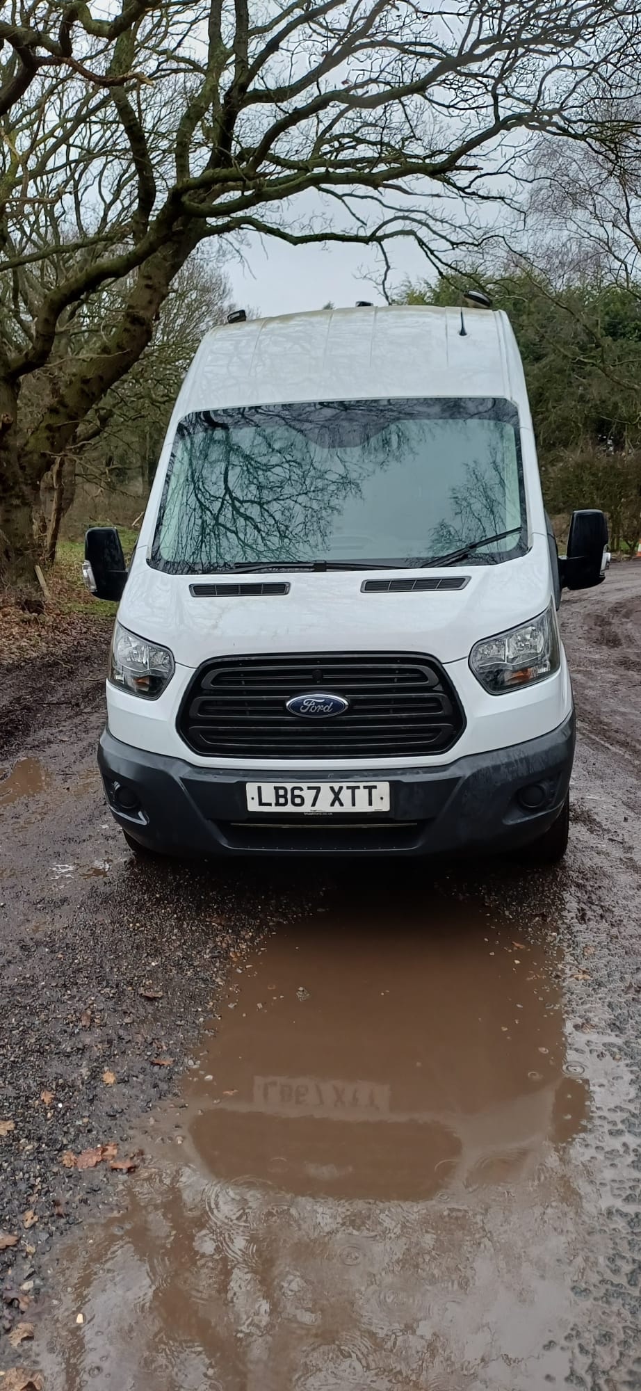 Used Ford Transit 2018 for sale - 77446000: Photo 3