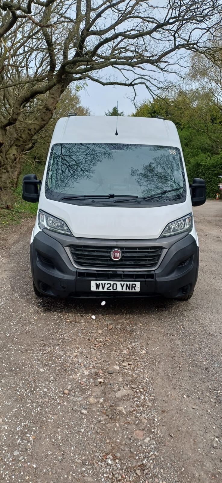 Used Fiat Ducato 2020 for sale - 78180140: Photo 3