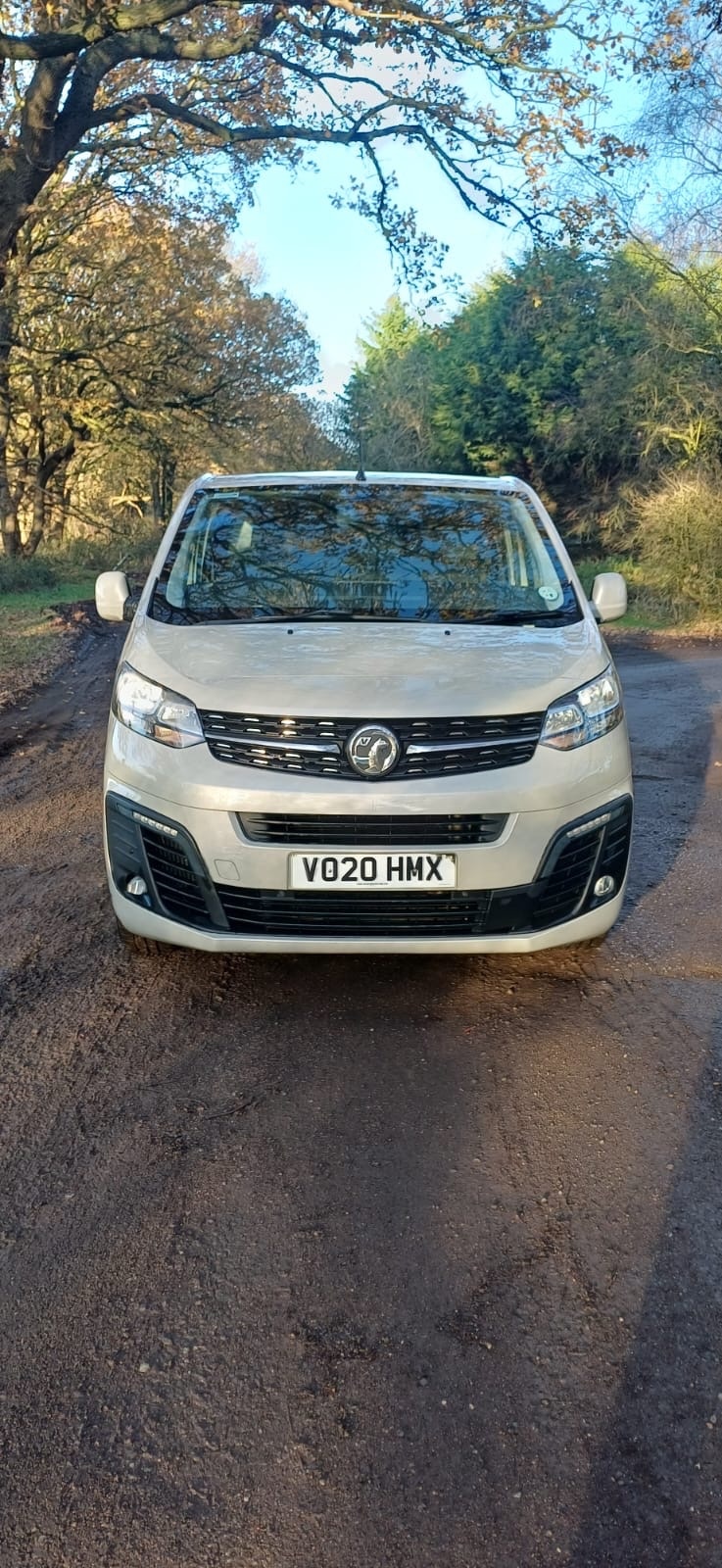Used Vauxhall Vivaro 2020 for sale - 76794735: Photo 2