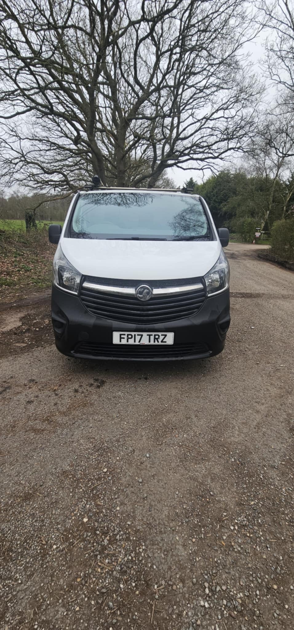 Used Vauxhall Vivaro 2017 for sale - 77778739: Photo 3
