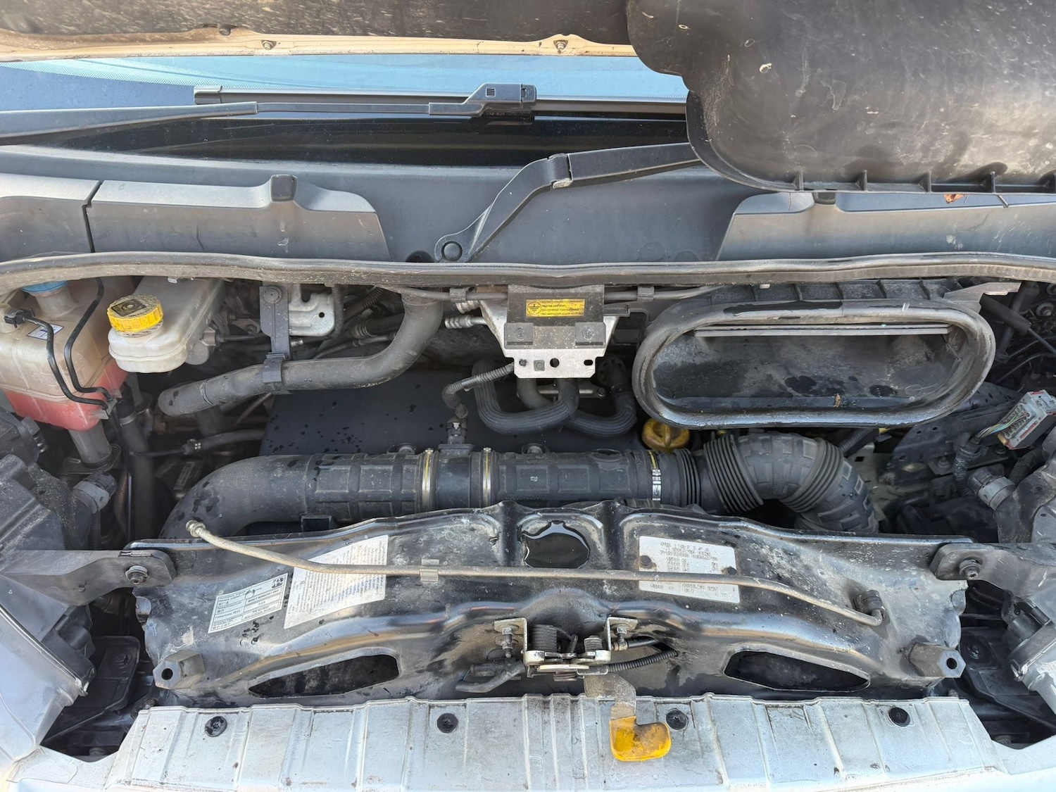 Used Fiat Ducato 2019 for sale - 77460103: Photo 14