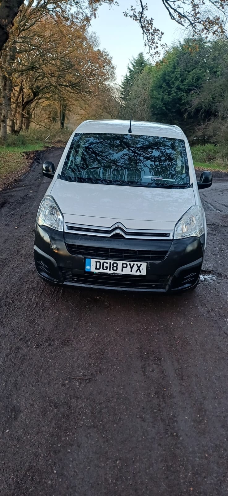 Used Citroen Berlingo 2018 for sale - 76796201: Photo 8
