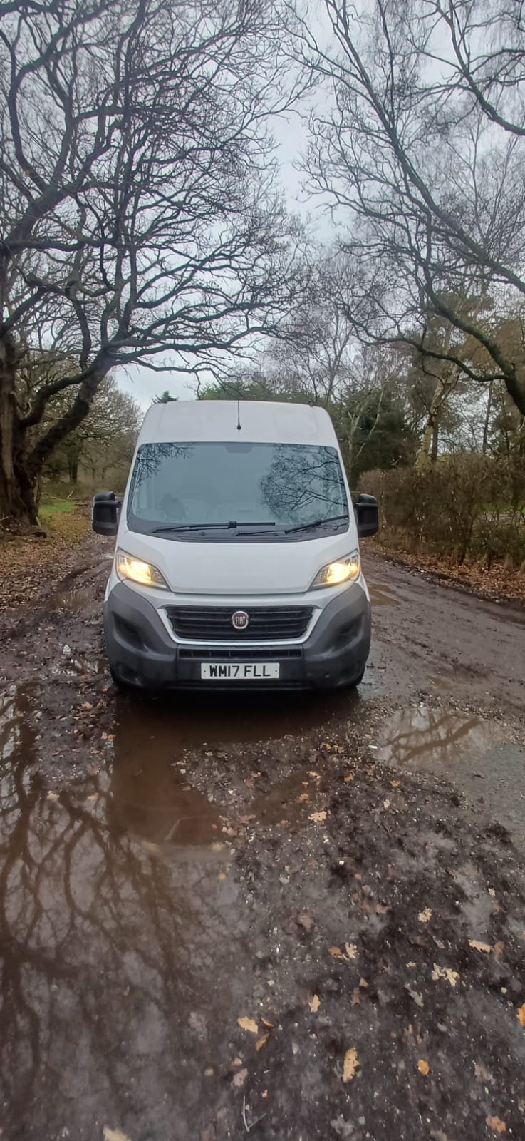 Used Fiat Ducato 2017 for sale - 76962867: Photo 5