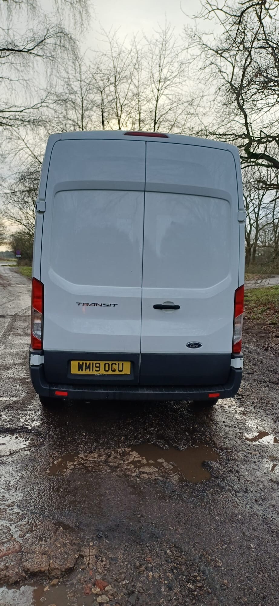 Used Ford Transit 2019 for sale - 77183317: Photo 6