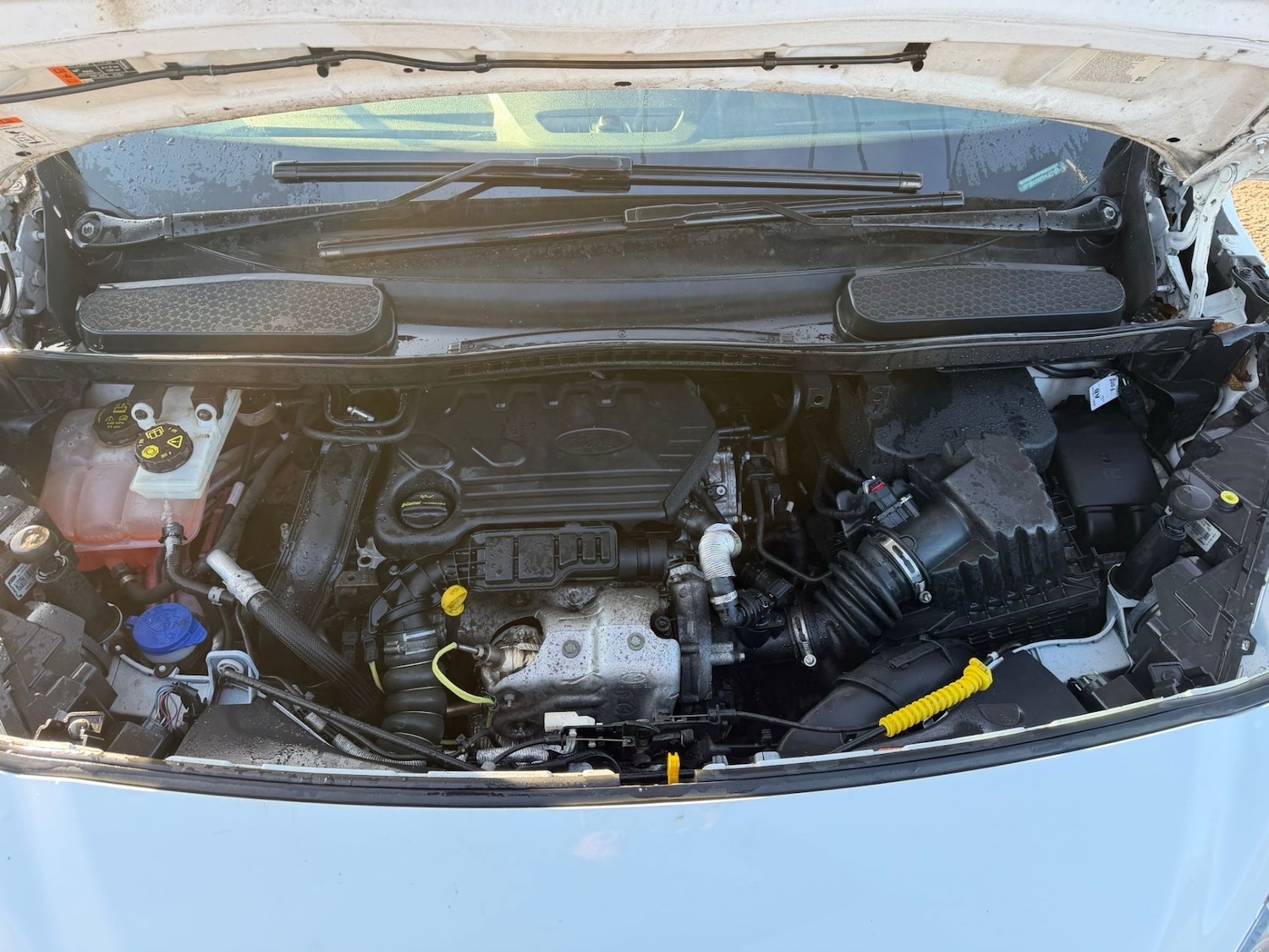 Used Ford Transit Connect 2020 for sale - 77247394: Photo 16