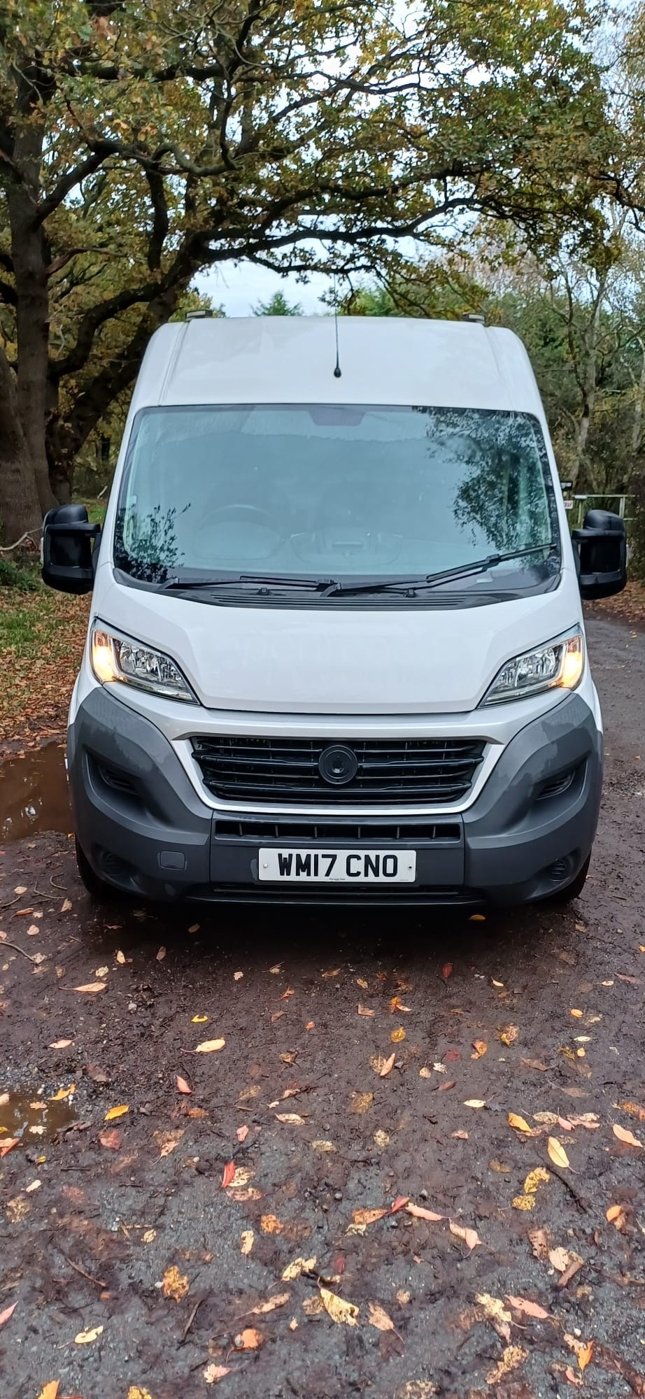 Used Fiat Ducato 2017 for sale - 76480552: Photo 6