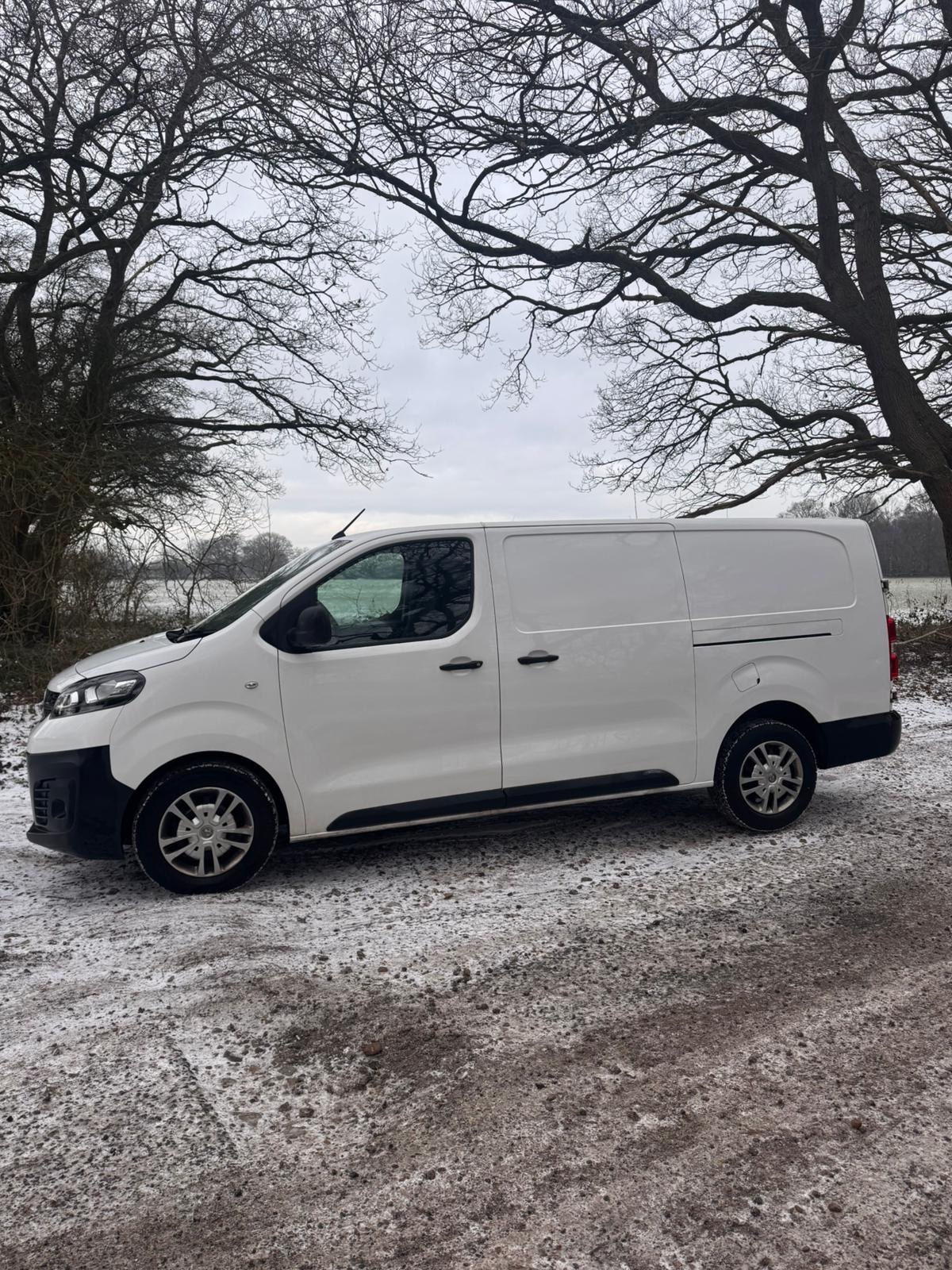 Used Vauxhall Vivaro 2020 for sale - 77113840: Photo 2