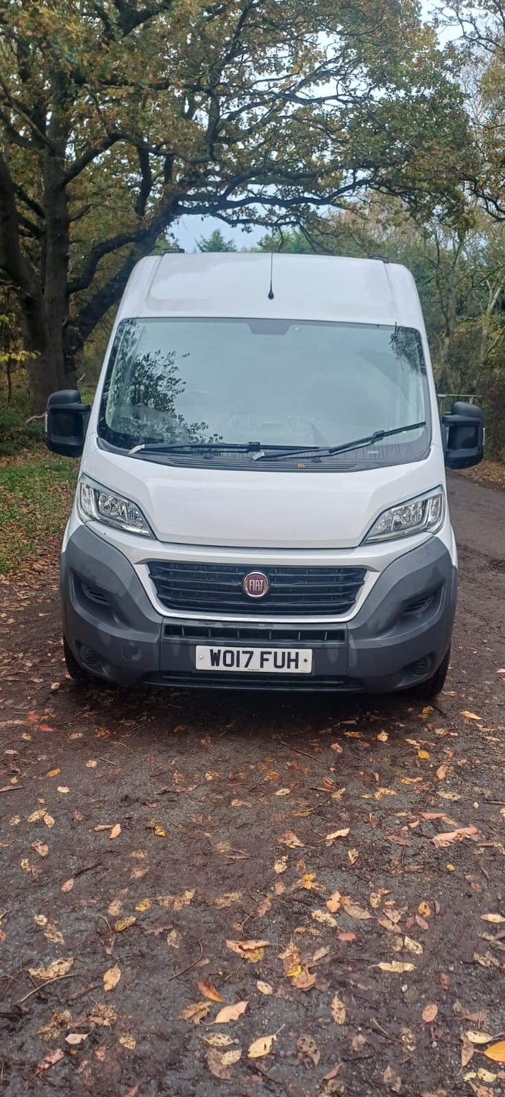 Used Fiat Ducato 2017 for sale - 76494725: Photo 5