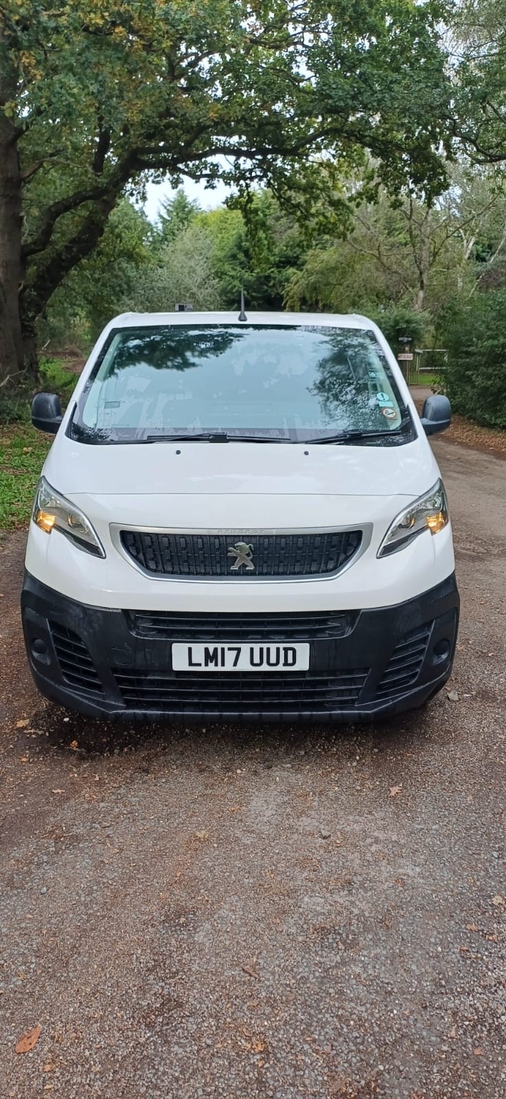 Used Peugeot Expert 2017 for sale - 76177246: Photo 1