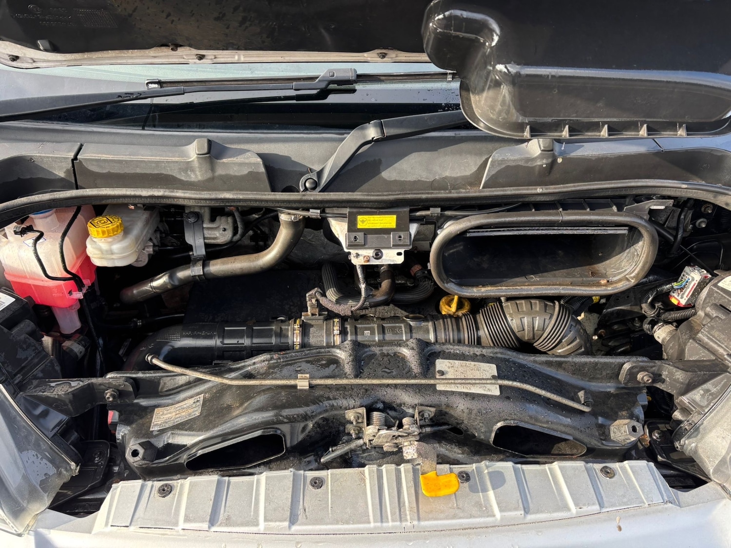 Used Fiat Ducato 2017 for sale - 77365423: Photo 14