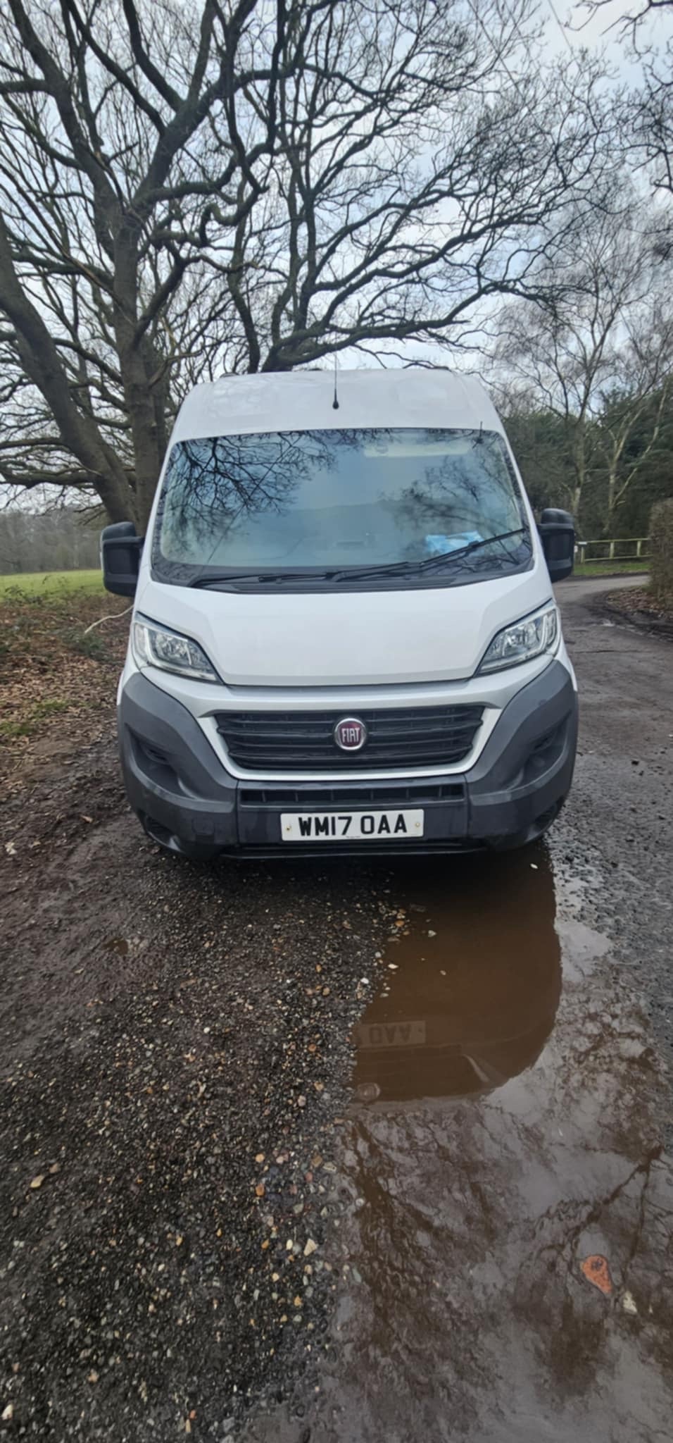 Used Fiat Ducato 2017 for sale - 77365423: Photo 5