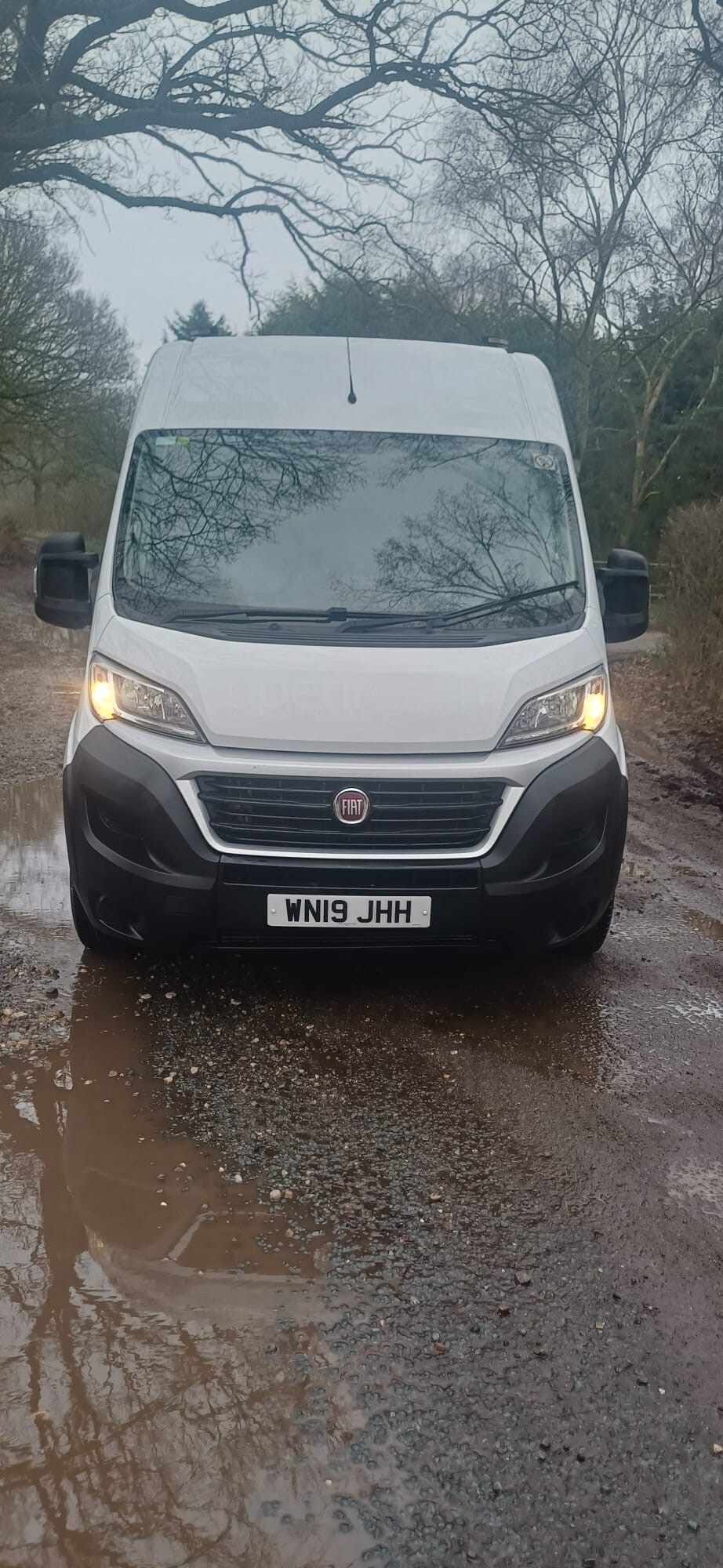 Used Fiat Ducato 2019 for sale - 77501441: Photo 3