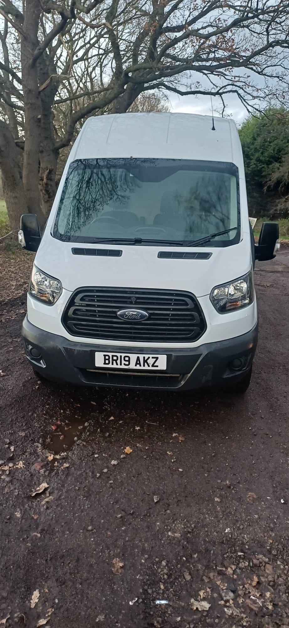 Used Ford Transit 2019 for sale - 76904432: Photo 4