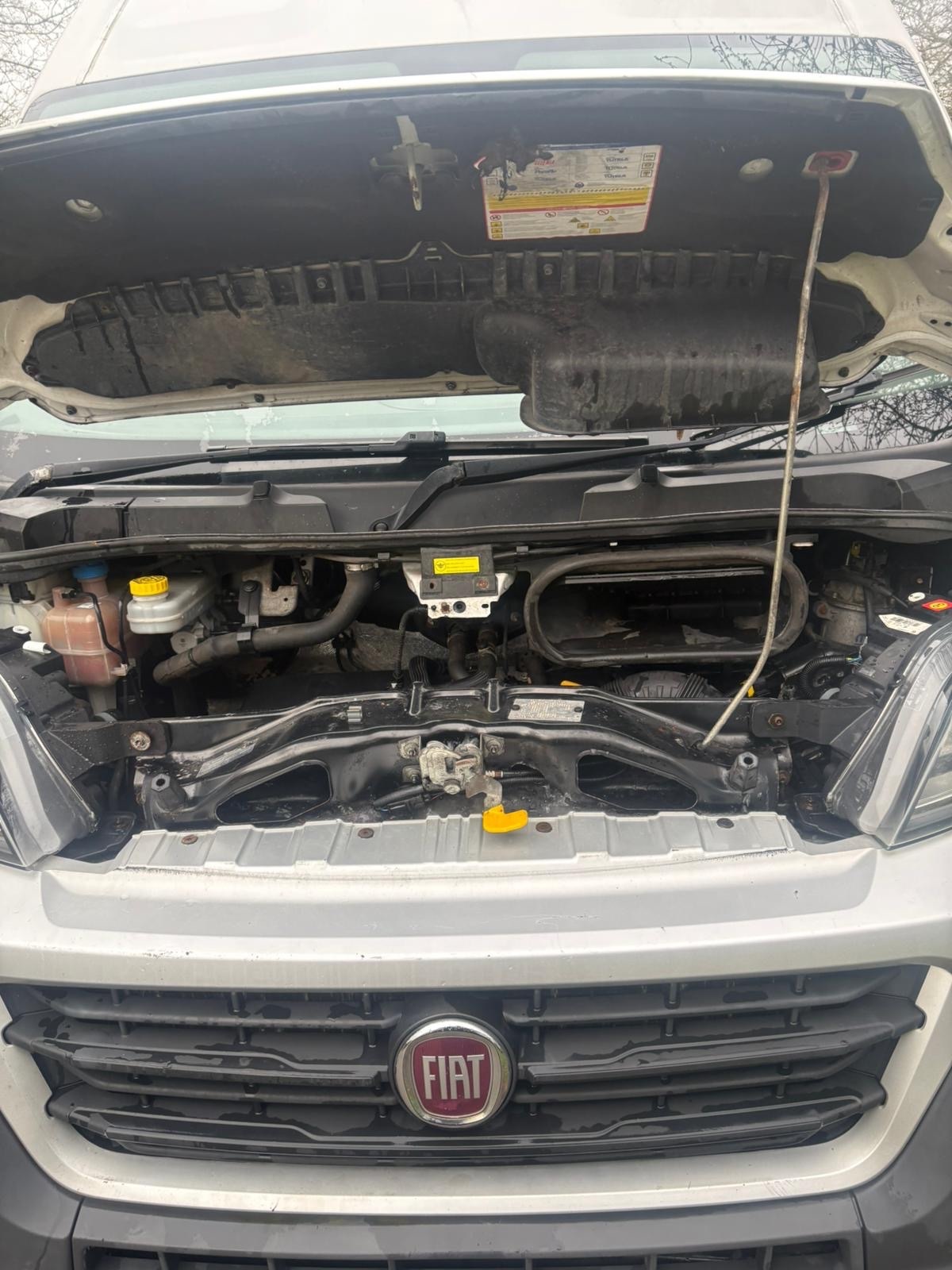 Used Fiat Ducato 2017 for sale - 77903884: Photo 5