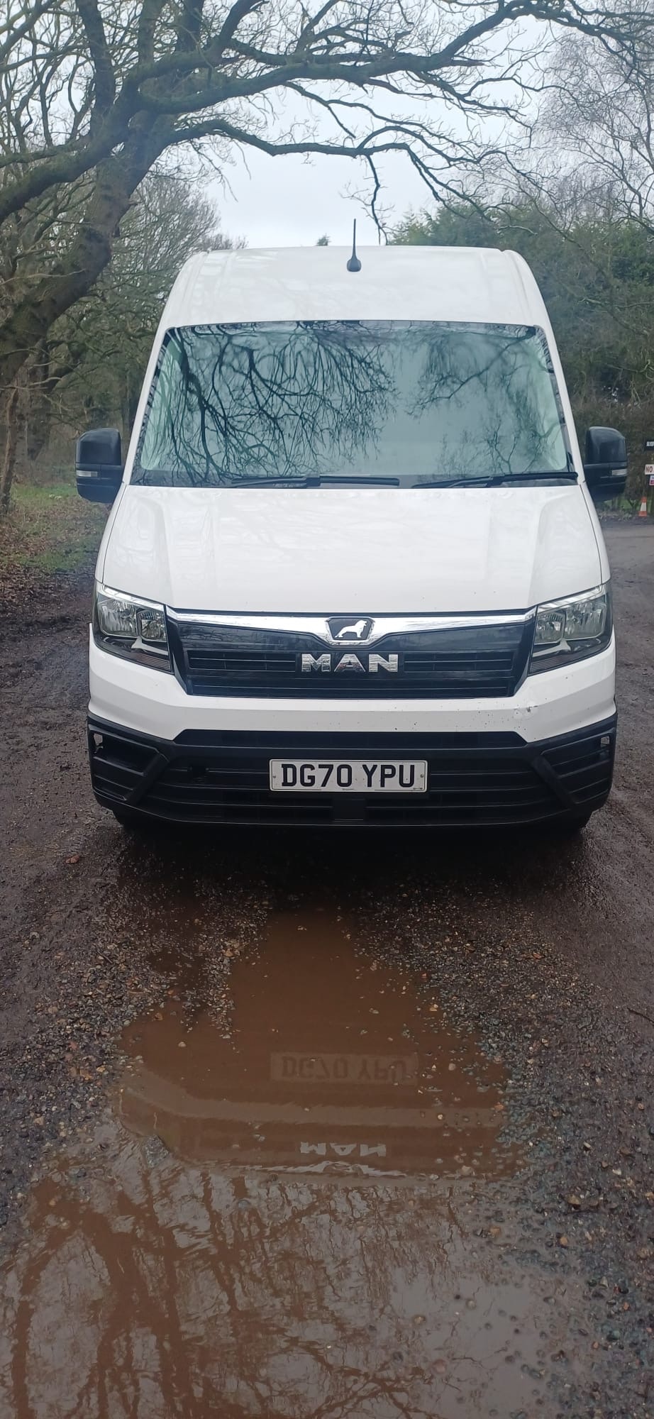 Used MAN TGE 2020 for sale - 77367060: Photo 2