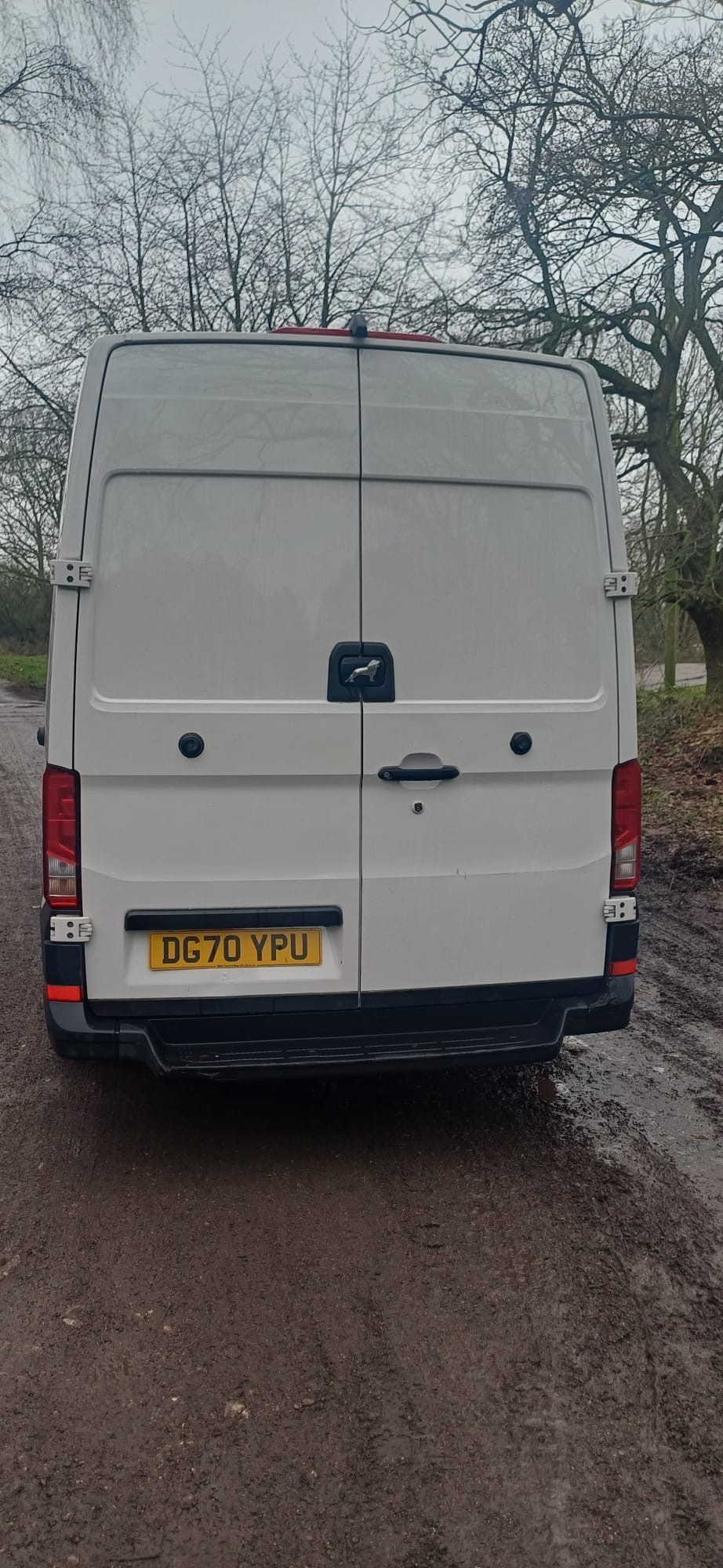 Used MAN TGE 2020 for sale - 77367060: Photo 4