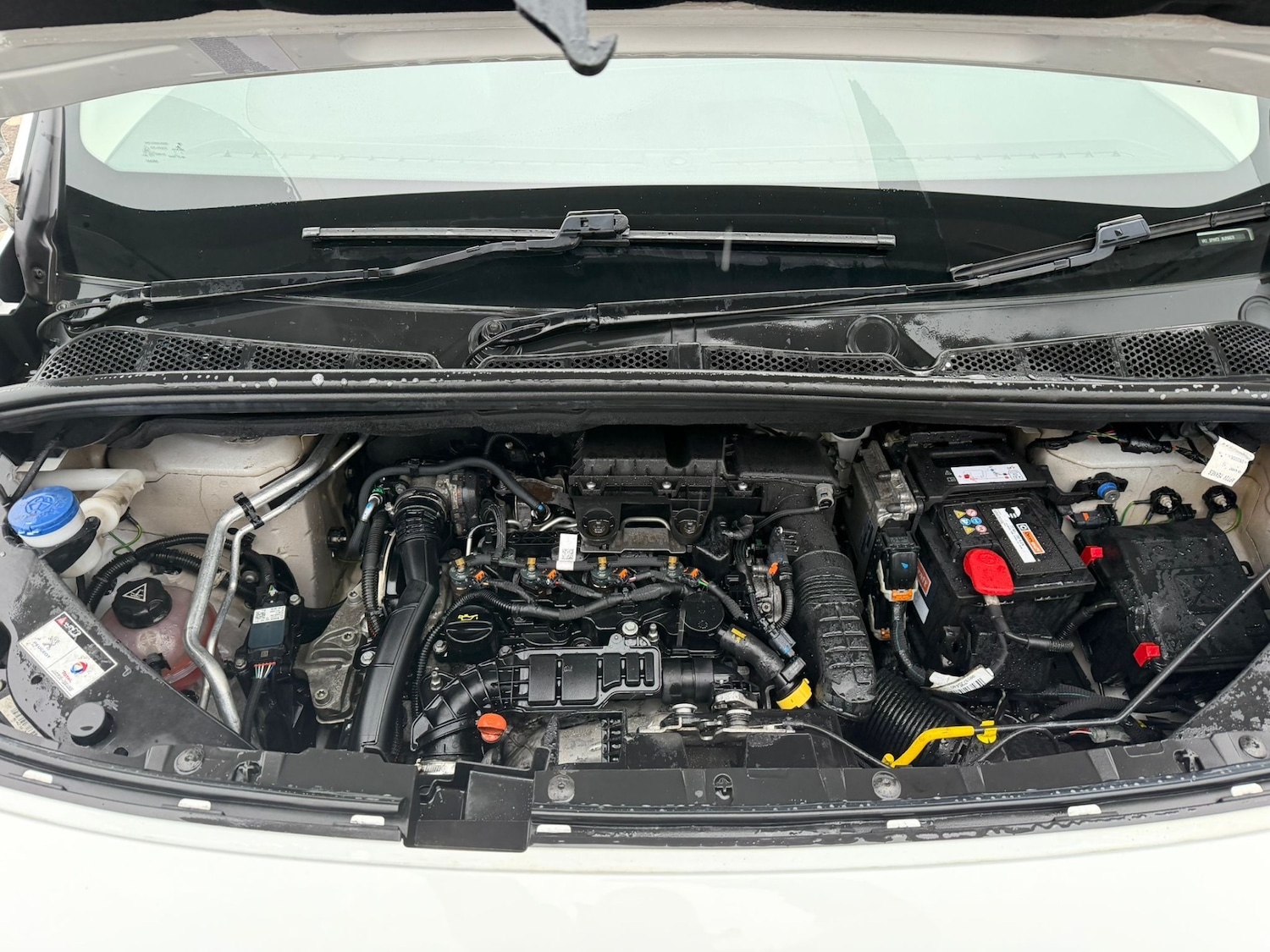 Used Peugeot Partner 2022 for sale - 77124110: Photo 10