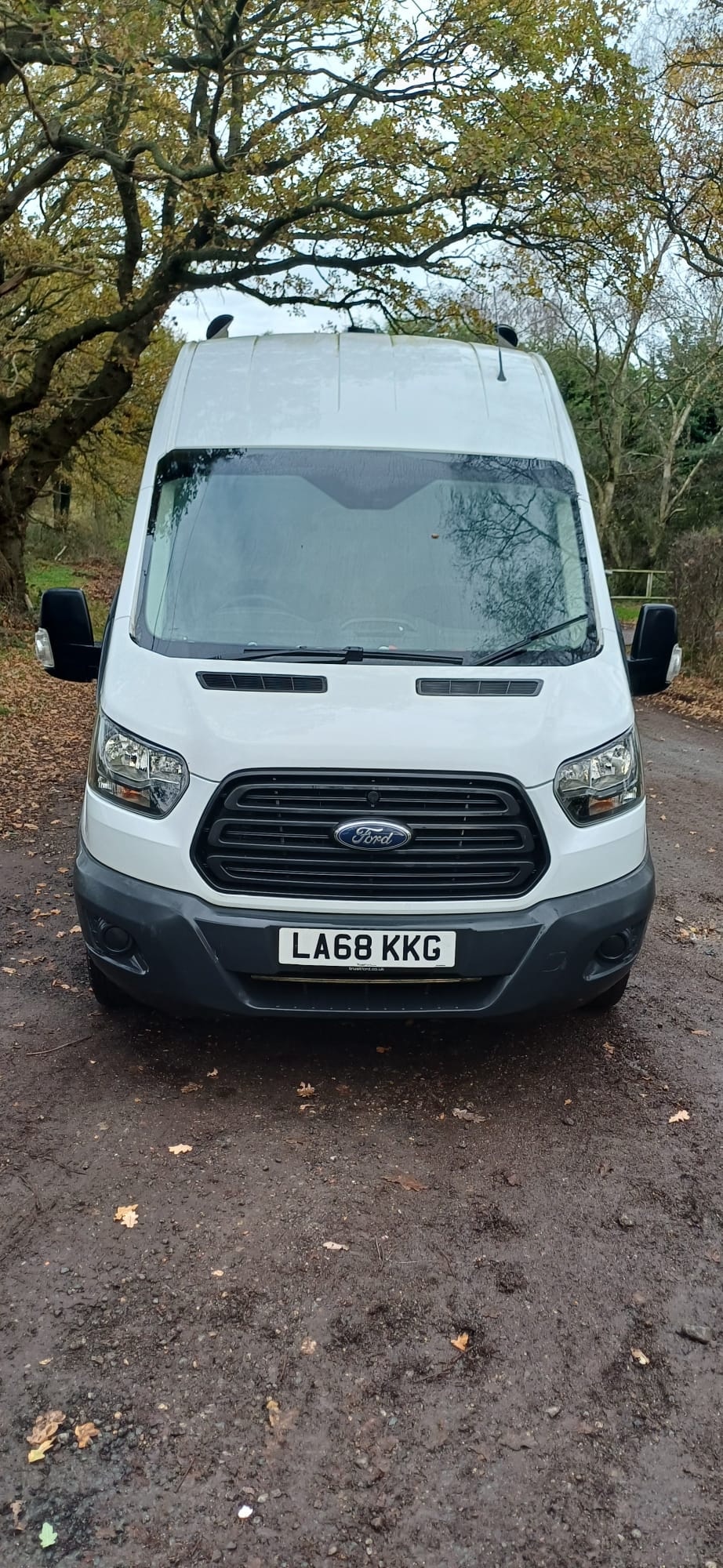 Used Ford Transit 2019 for sale - 76719115: Photo 6