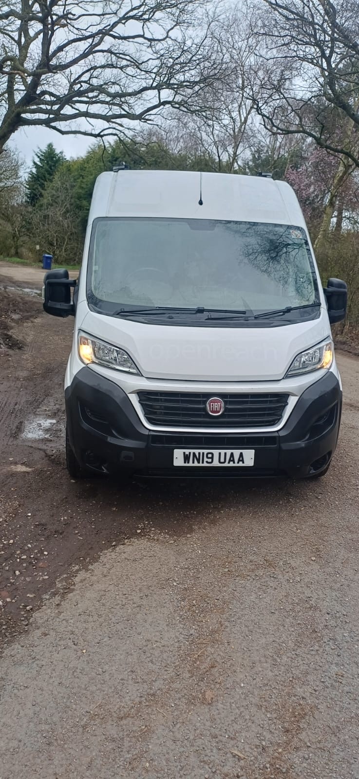 Used Fiat Ducato 2019 for sale - 77775226: Photo 2