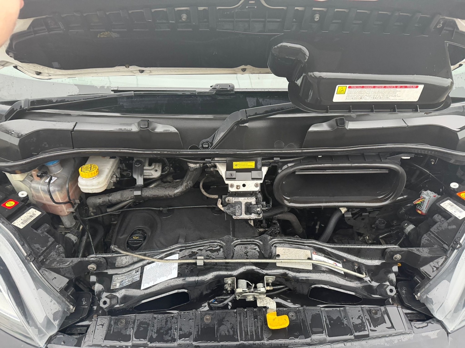 Used Citroen Relay 2019 for sale - 76541944: Photo 15