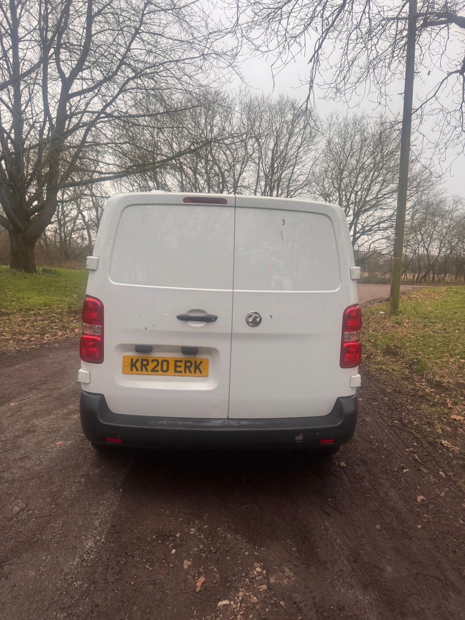 Used Vauxhall Vivaro 2020 for sale - 77417231: Photo 3