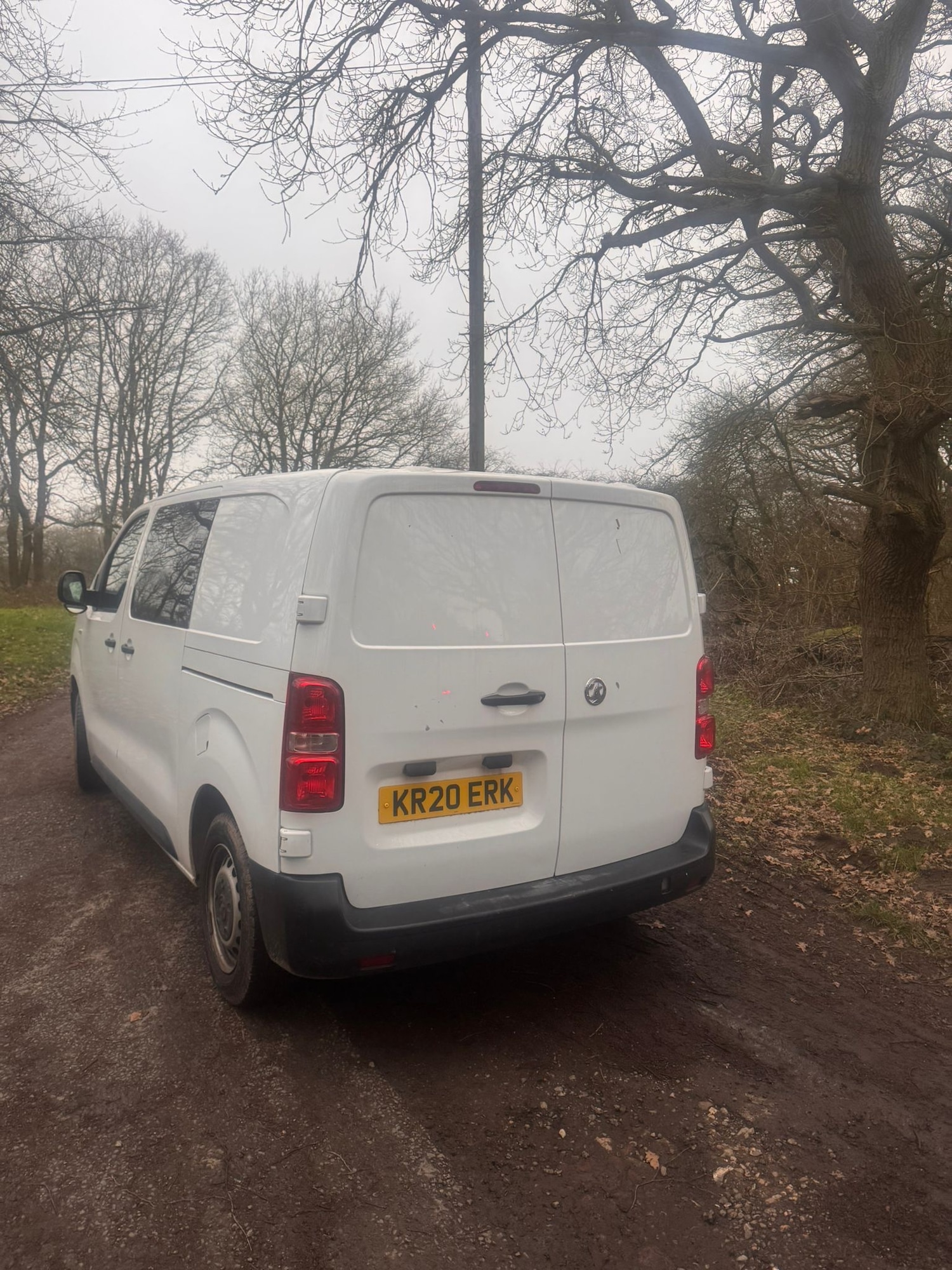 Used Vauxhall Vivaro 2020 for sale - 77417231: Photo 4