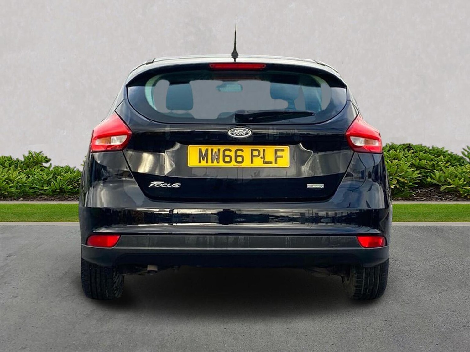 Used Ford Focus 2016 for sale - 76449620: Photo 4