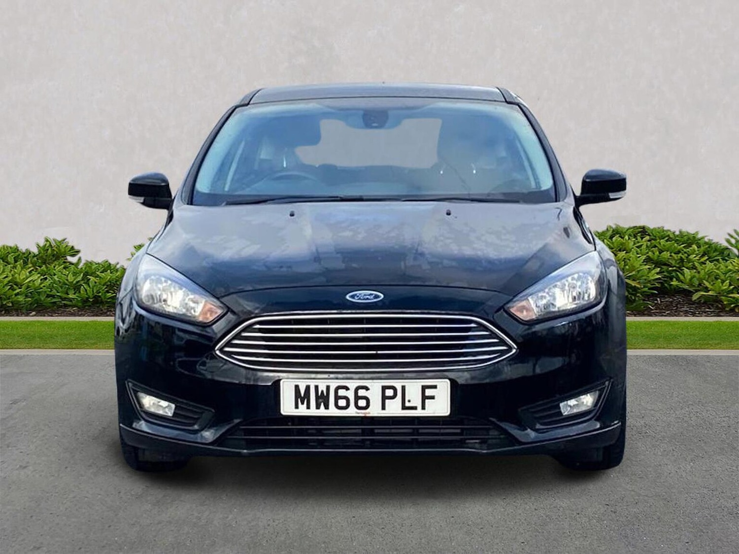 Used Ford Focus 2016 for sale - 76449620: Photo 5