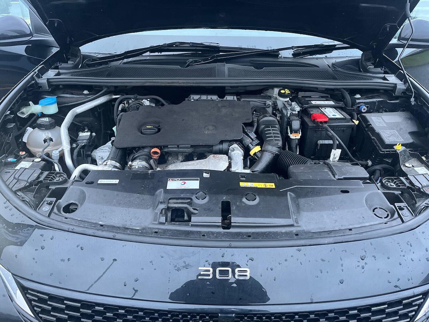 Used Peugeot 308 2023 for sale - 77489482: Photo 39