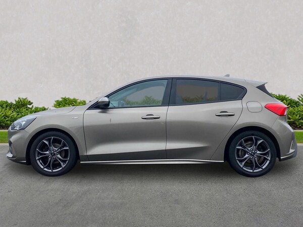Used Ford Focus 2019 for sale - 76264375: Photo 19