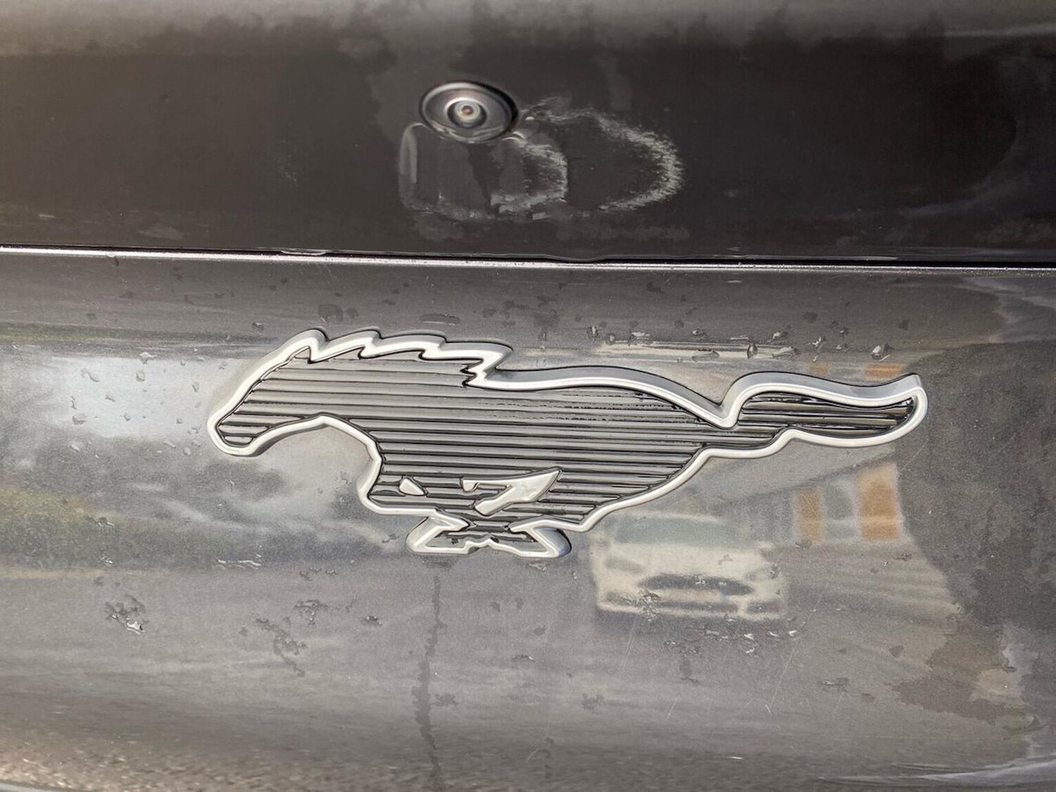 Used Ford Mustang Mach-E 2023 for sale - 77489609: Photo 32