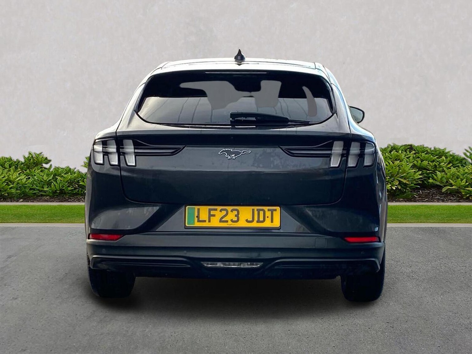 Used Ford Mustang Mach-E 2023 for sale - 77489609: Photo 4