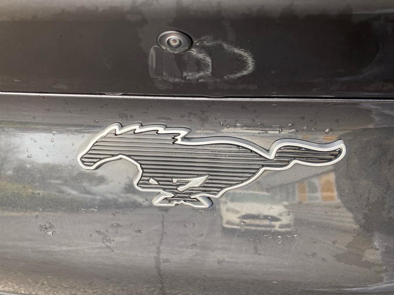 Used Ford Mustang Mach-E 2023 for sale - 76627973: Photo 32